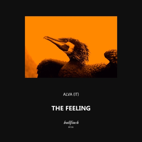 ALVA (IT) - The Feeling [BF336]